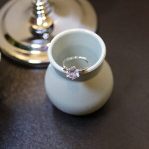 EvoraLuxe Solitaire Sparkling Ring – Elegant Silver-Tone Ring